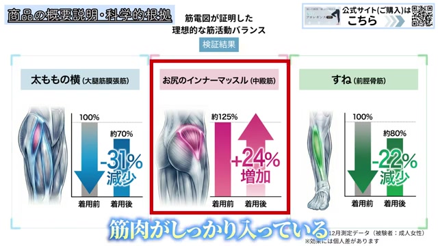 筋電図の検証結果
