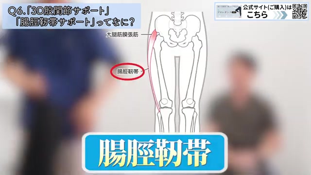 太ももの外側を走る腸脛靭帯の解剖図